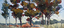 Blue Gums near Groot Marico – NW Province | 2012 | Oil on Canvas | 52 x 77 cm